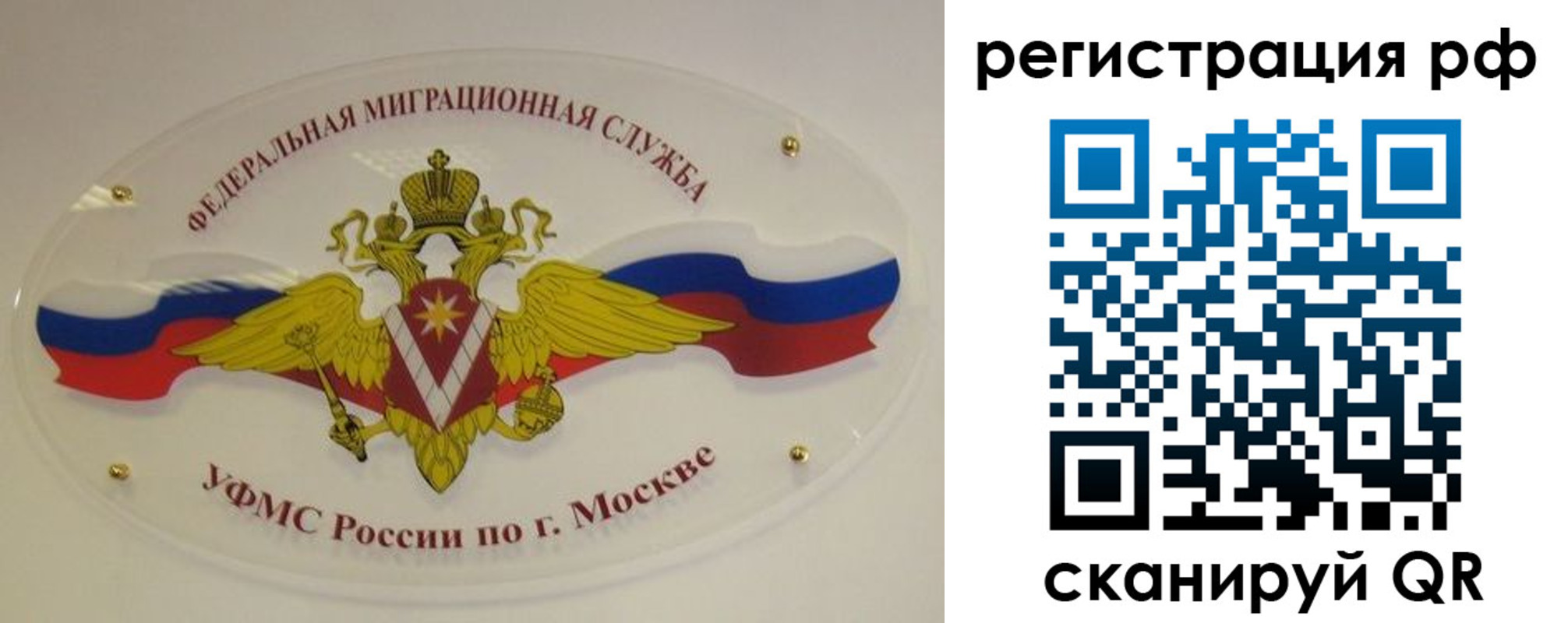 временная регистрация законно в Димитровграде